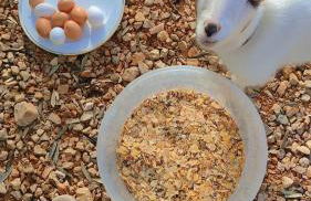 Villa Boeddu, relax tra mare e campagna - Foto 8