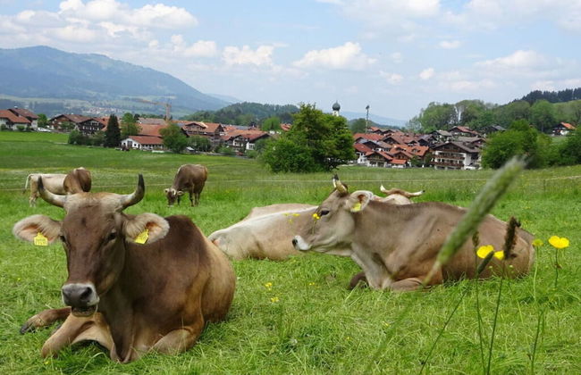 Holiday Apartment Hornerblick - Foto 11