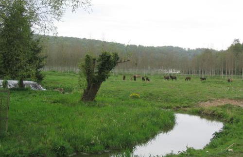 Les Granges Du Bout De La Ville - Foto 26
