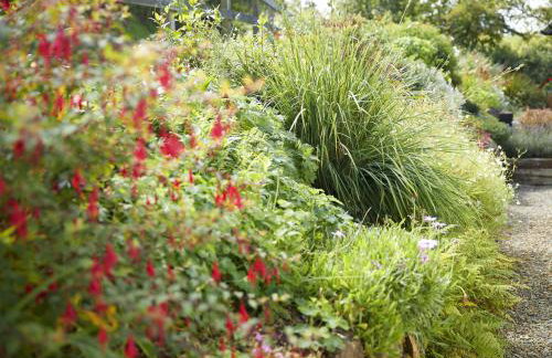 The Dairy Pembrokeshire - Foto 13