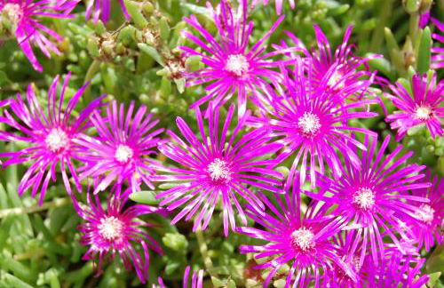 Agriturismo SPA Serpanera - Photo 72