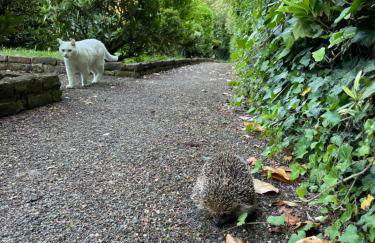 Les Cottages d'Orient Gite Boutique - Foto 46