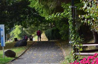 Apart Erica - Photo 17