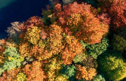 Parkresidenz Lychen, Ferienwohnung 5 - Photo 70