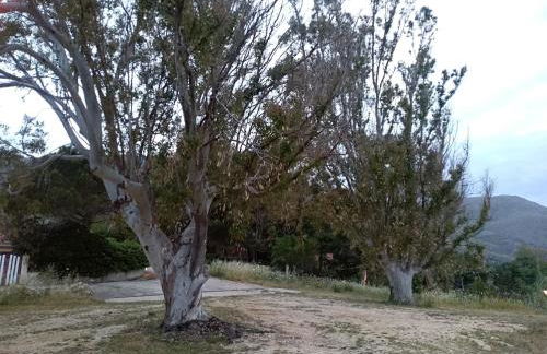 Villa Marilù - Foto 17