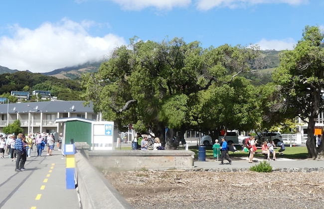 Akaroa Vista - Foto 17