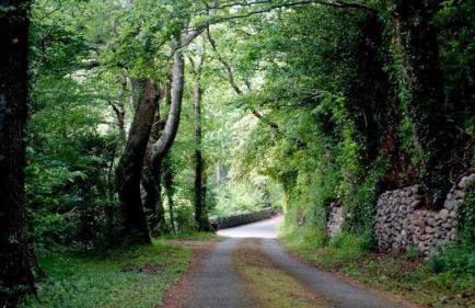 Eryl cottage in Rowen - Photo 7