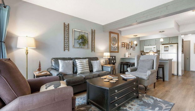 Black Bear Lodge - 1 Mile From Silver Dollar City - Foto 2, Imagem principal