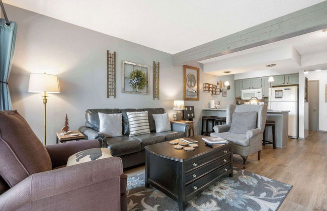 Black Bear Lodge - 1 Mile From Silver Dollar City - Photo 1