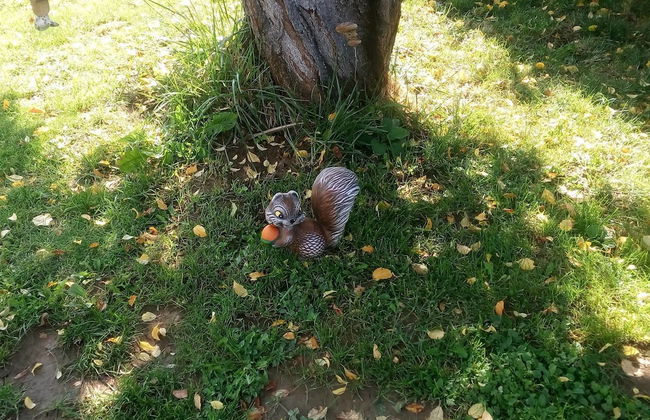 Villa Kalin - Photo 16