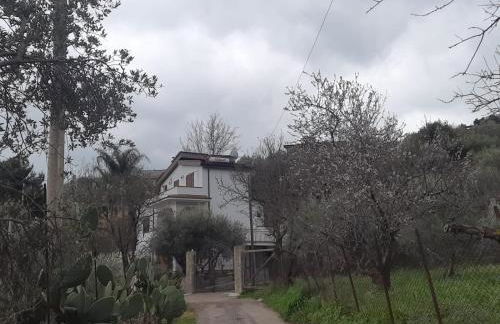 Menzel el Emir - Foto 14