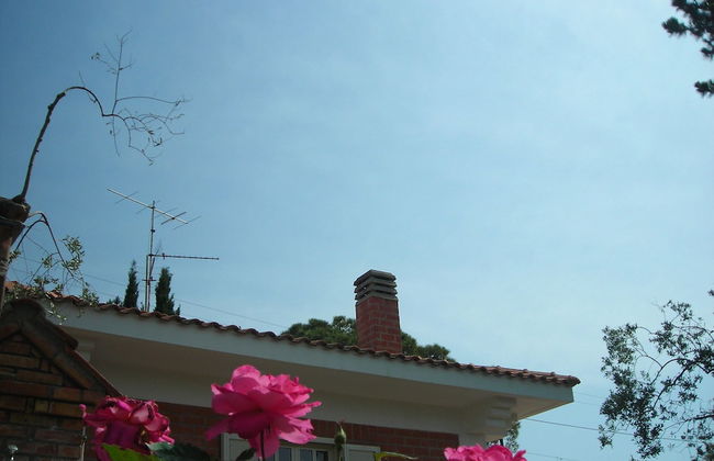 Il Giardino sul Mare - Foto 39