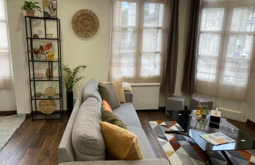 Joli appart F2, les 3 croissants, centre ville - Foto 7