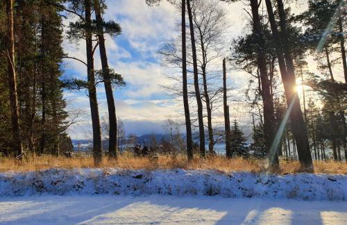 Gardeners cottage - Foto 8