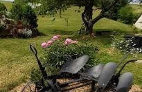 Biohof Seifert - Foto 2