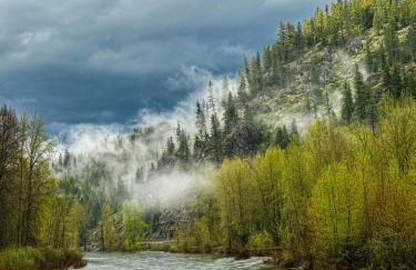 The Pines- Your Luxury Wallace Adventure Base - Foto 25