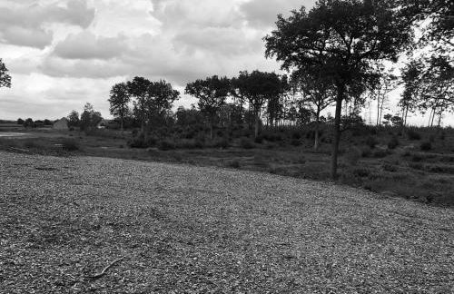 Évasion champêtre : Maison avec piscine, tennis, et étang au cœur de 50 hectares de forêt - FR-1-410-307 - Photo 20
