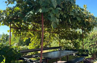 Apartment Jelena - Foto 34