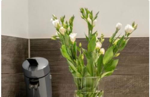 Be my Guest in Mannheim - Foto 9