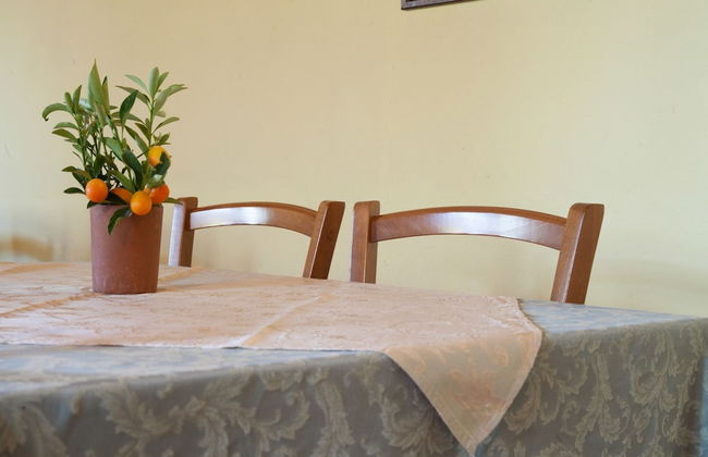 L'Antica Vigna - Photo 23