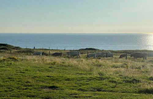 2 Chambres face à la mer En terrasse La Naturelle - Foto 63