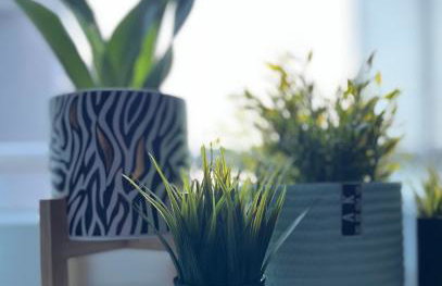 Apartament Miętowa Zebra - Foto 9