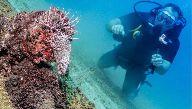 Admiring the marine life