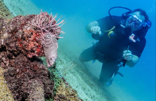 Bautismo de buceo en Las Caletas - Foto 4