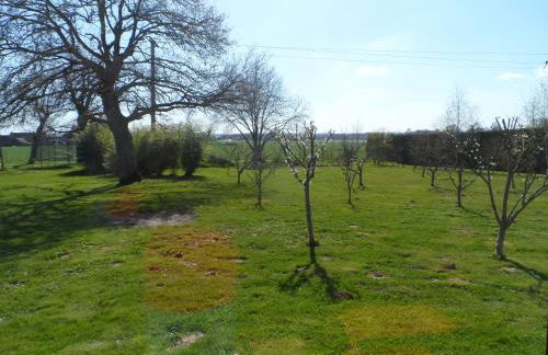 Cottage Cafecouet'Breizh - Foto 23