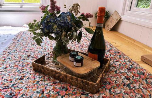 Cornwall Woodland Shepherd's Hut with Hot Tub - Deirdres Hut - Foto 11