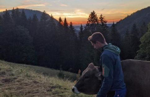 Ferienhaus Rasch - Foto 39