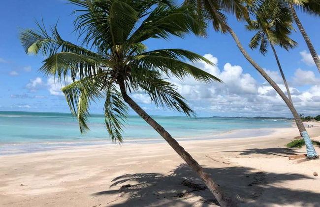 Paseo en barco por las piscinas naturales de Maragogi - Foto 8