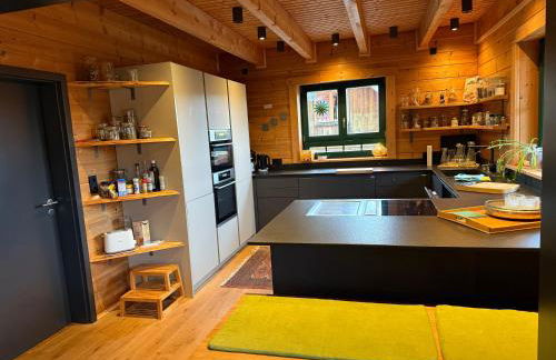 Blockbohlen HolzHaus mit Sauna, Outdoor Jacuzzi und BadeTeich - Foto 61