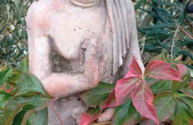 Casa Fortuna - Foto 58