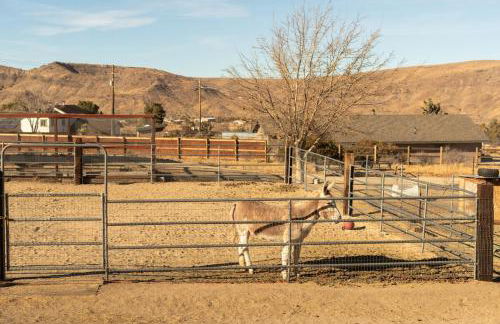 3 Bedroom Ranch -Hot Tub -Walk to P&H and Red Dog - Foto 20