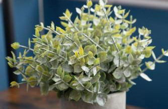 Spacious House in Brighton with large garden and free parking - Foto 35