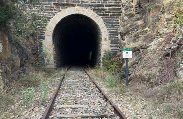 El Abigero - Foto 17