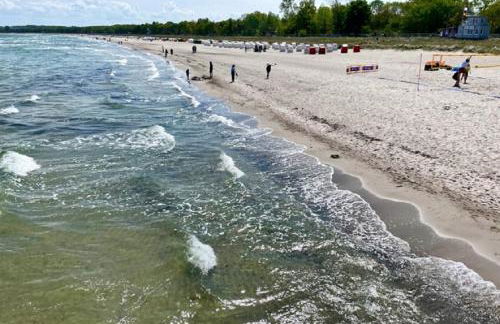Ferienhaus LebenPUR Bio-Ferienhaus aus Holz - Foto 18