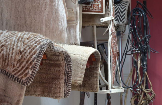 Paseo a caballo por San Lorenzo - Foto 7