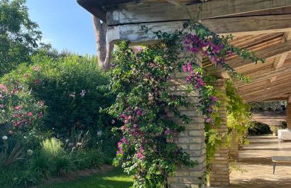 La BouganVillea - Foto 55