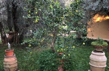 Agriturismo la Canonica - Foto 44