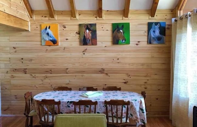 Cabañas El Nativo - Licán Ray - Foto 6