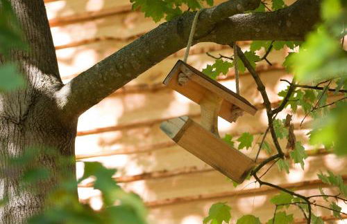 Le Monde de Charlie - Les Cabanes - Foto 55