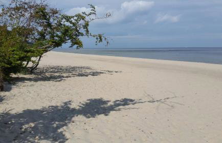 Ferienwohnung ÜckeRitz bei Familie Habben mit PKW Stellplatz - Foto 32