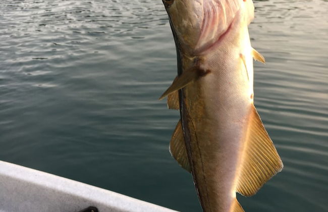 Fagervik Camping - Photo 63