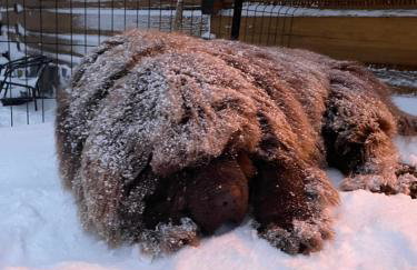 Apartament Kierunek Tatry - Foto 28