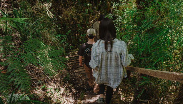 Tepuhueico Day Trip - Foto 2