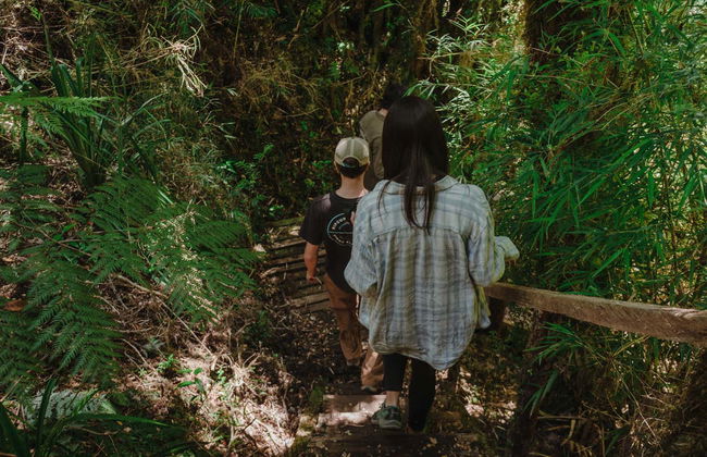 Tepuhueico Day Trip - Foto 2