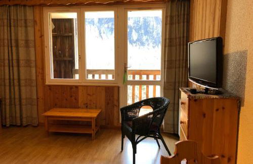 Les Enfetchores - apartment overlooking la Meije - Photo 34