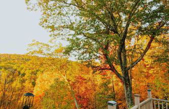 Rustic Ridge Log Cabin: Hot Tub, Games, Views! - Foto 37